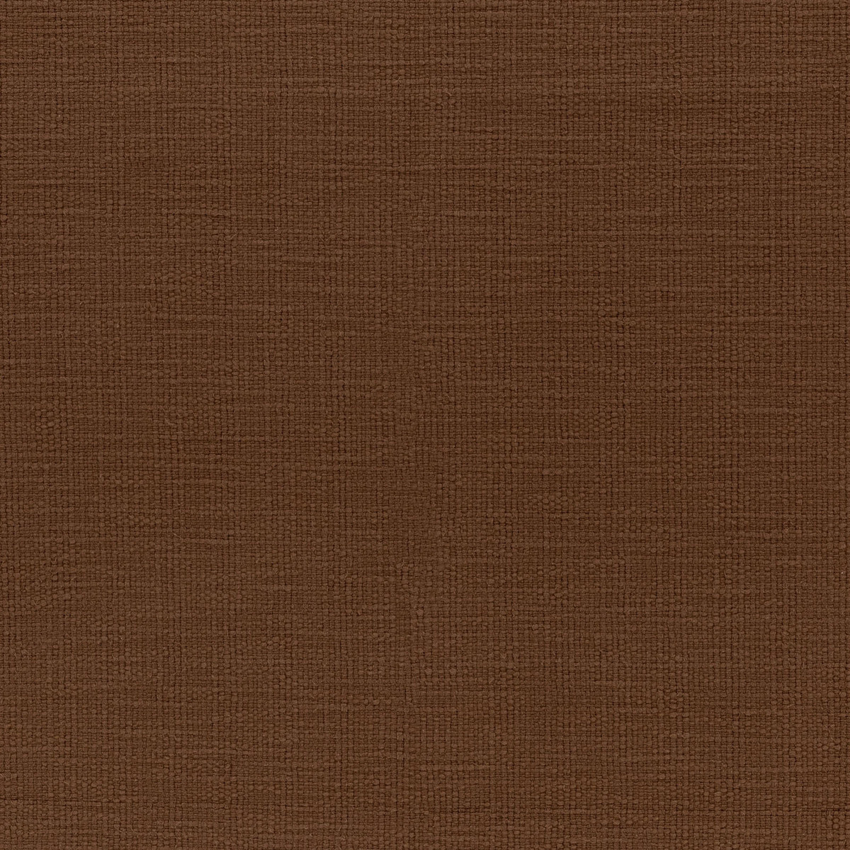 canyon sequoia