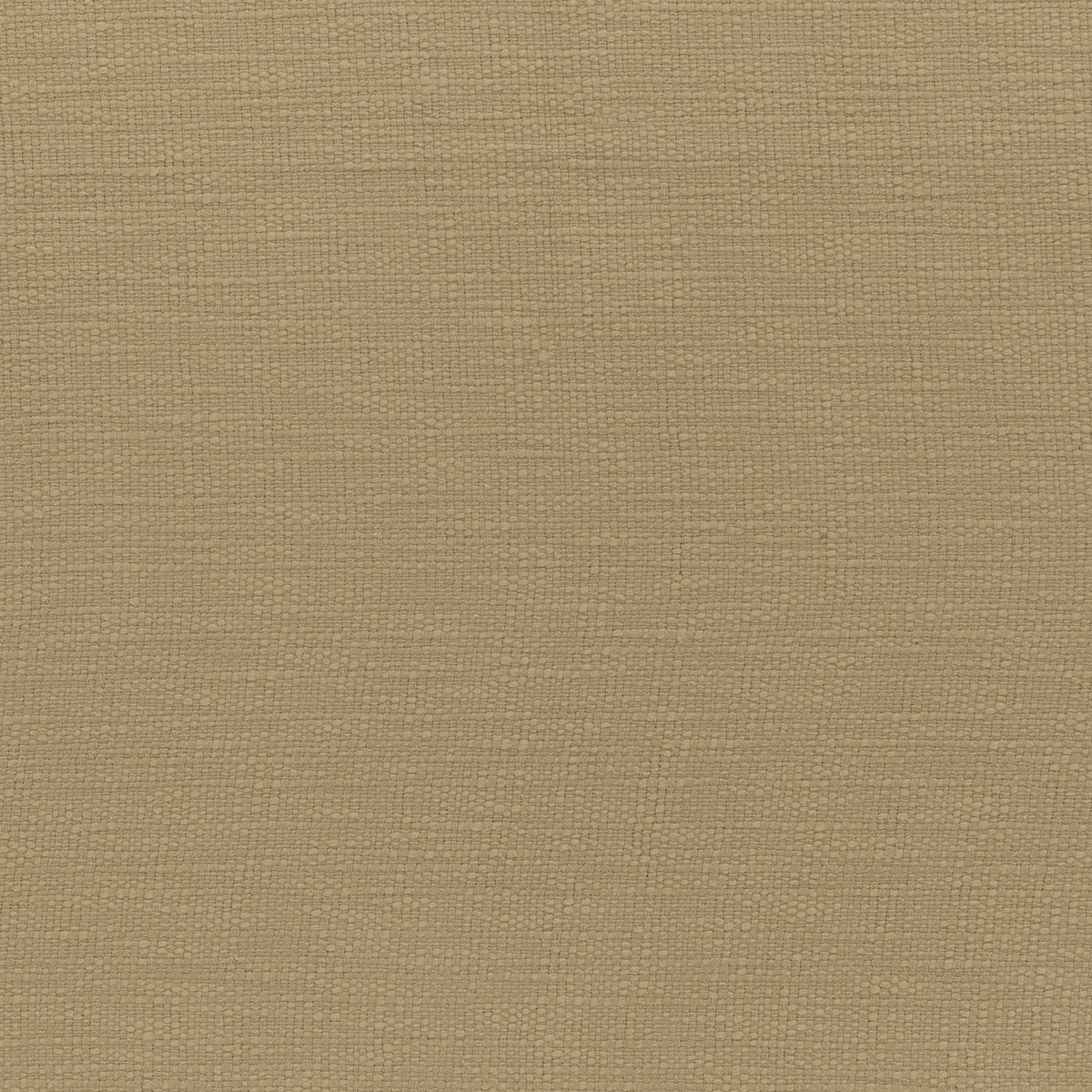 canyon wheat