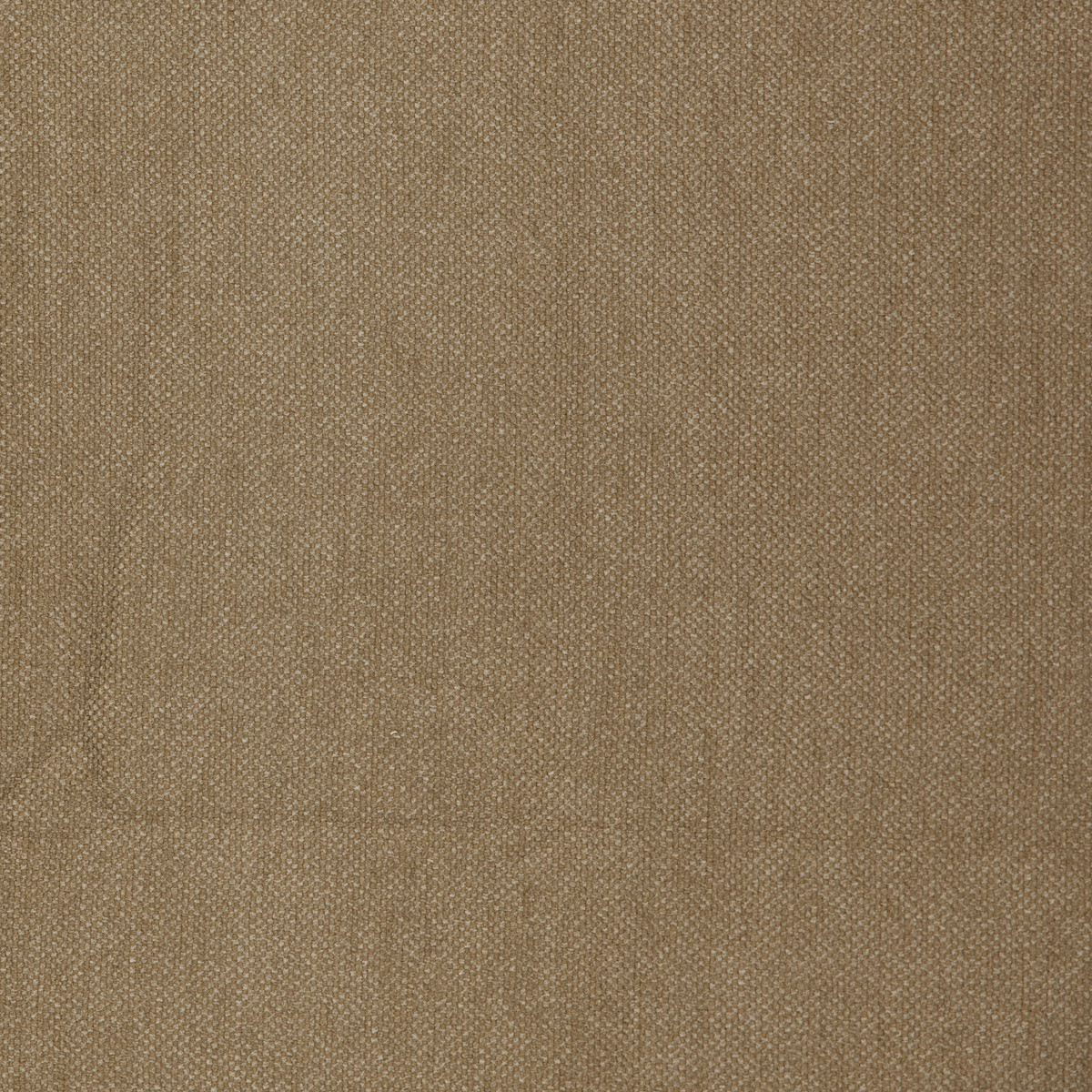 clio oak