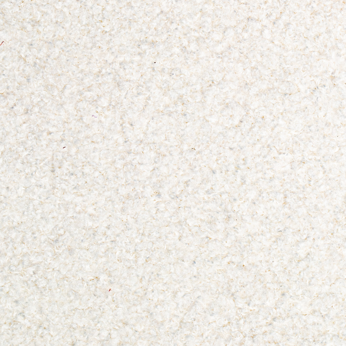 Dolly Angora