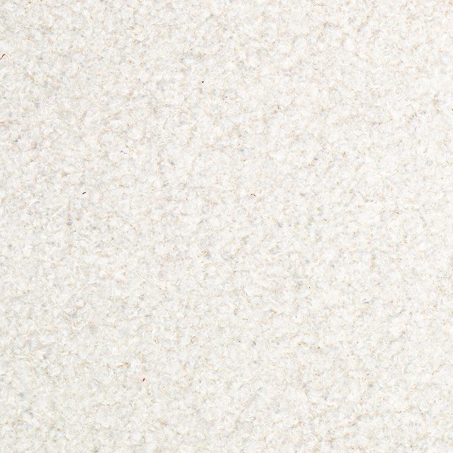Dolly Angora