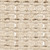 aster beige