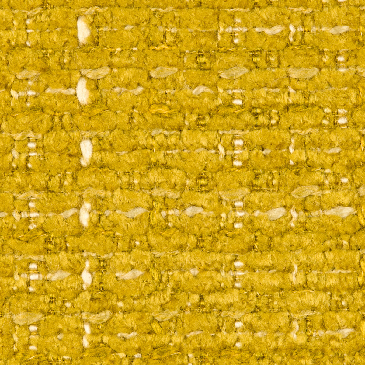 aster lemon
