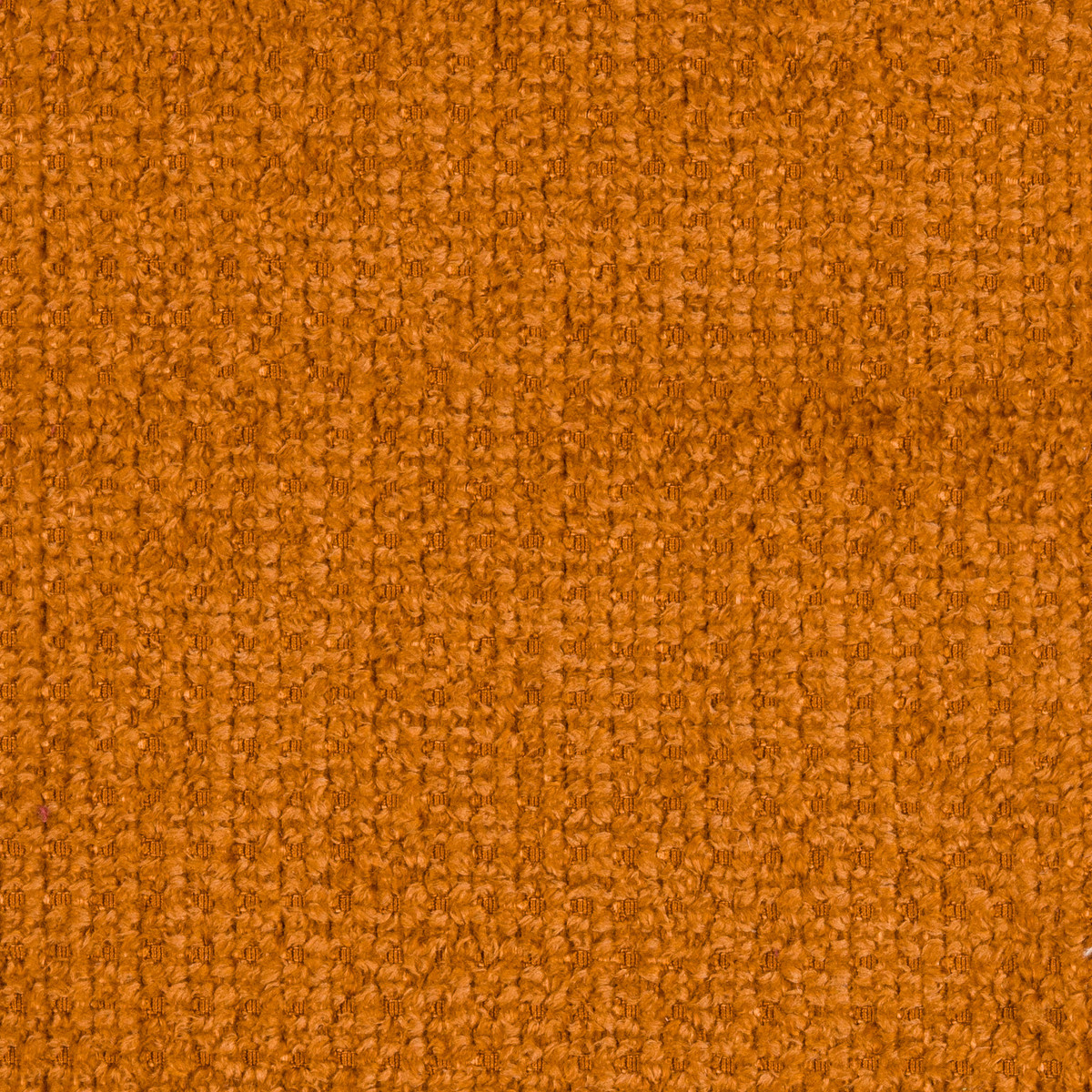 babble tangerine
