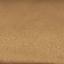bison butterscotch