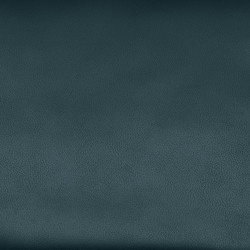 bison deep blue