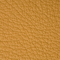 bison mustard