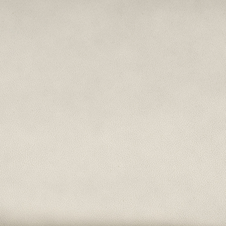 bison white