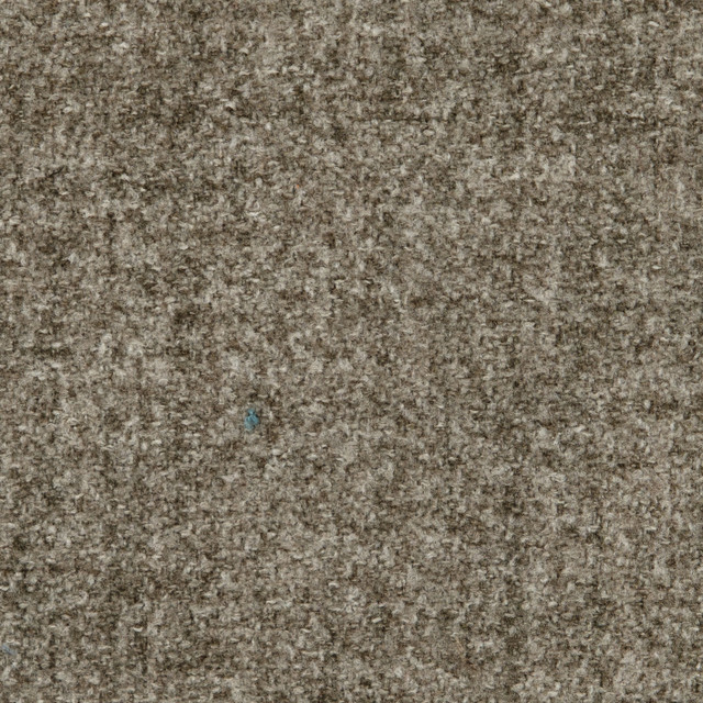 clover grey