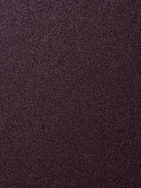 elmosoft raisin