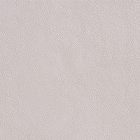 elmosoft silver