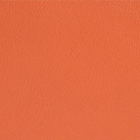 elmosoft florida orange