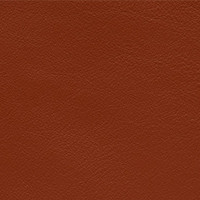 elmosoft autumn leaf