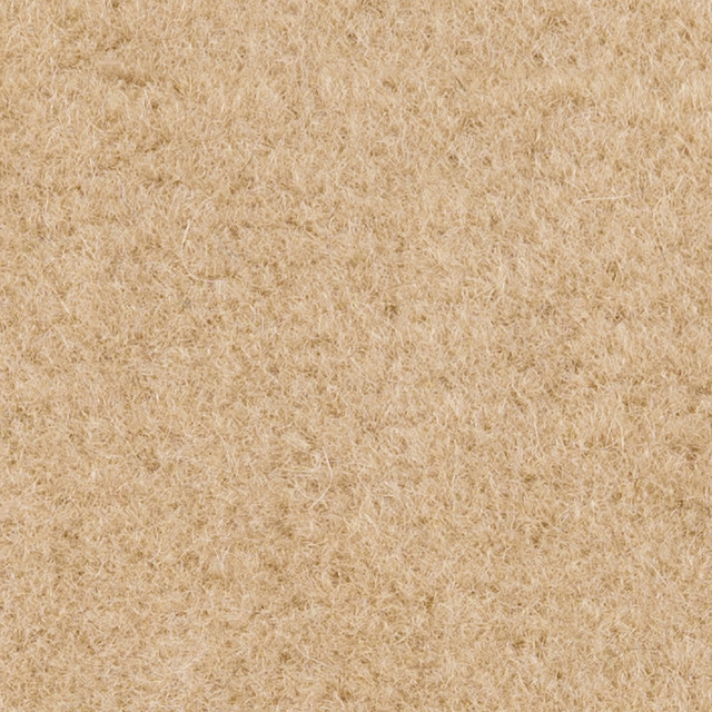 suri beige