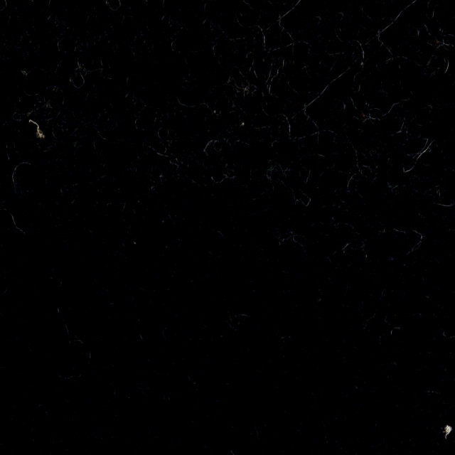 suri eclipse