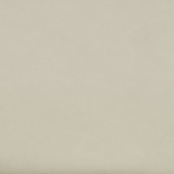 toray ultrasuede beige